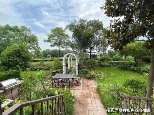 三月高招官方爆料视频下载,视频内容深度解析