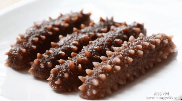 烟台海参爆料最新消息,揭秘市场新风向与品质升级